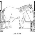 氣海俞穴 氣海俞穴