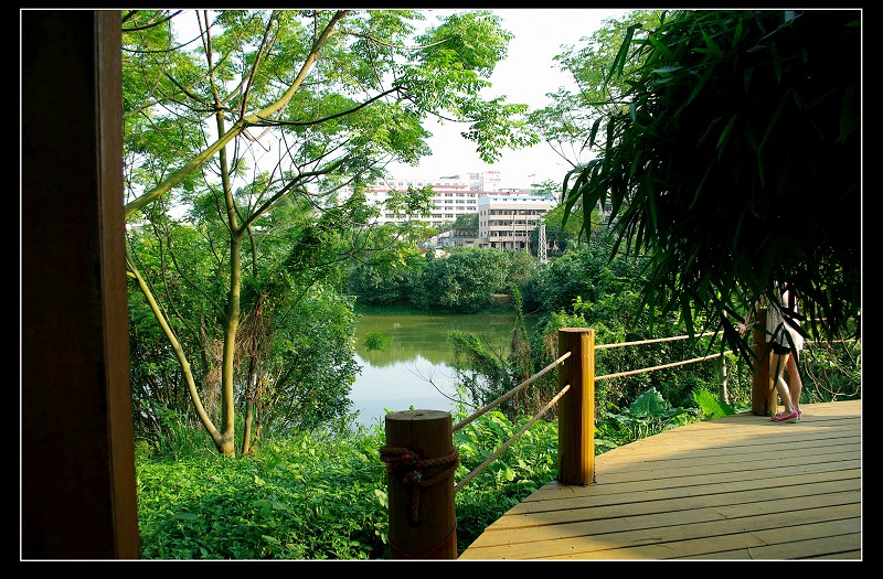 綠塘河濕地公園