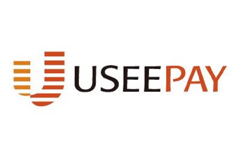 USEEPAY LIMITED USEEPAY LIMITED