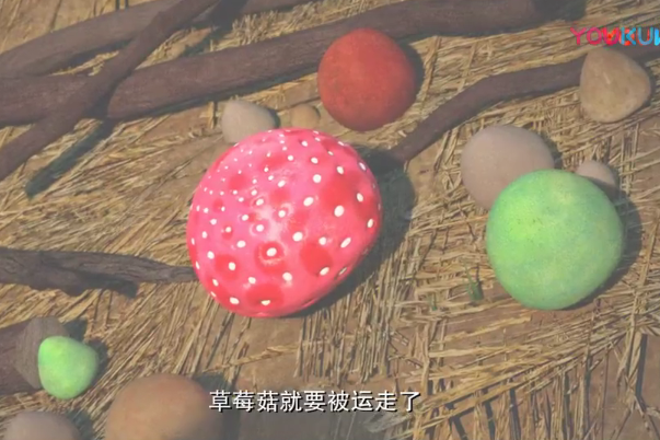 草莓菇 草莓菇