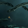 清水釣魚 清水釣魚