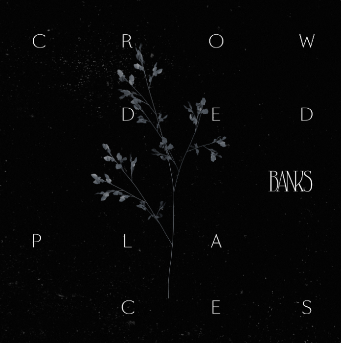 Crowded Places Crowded Places