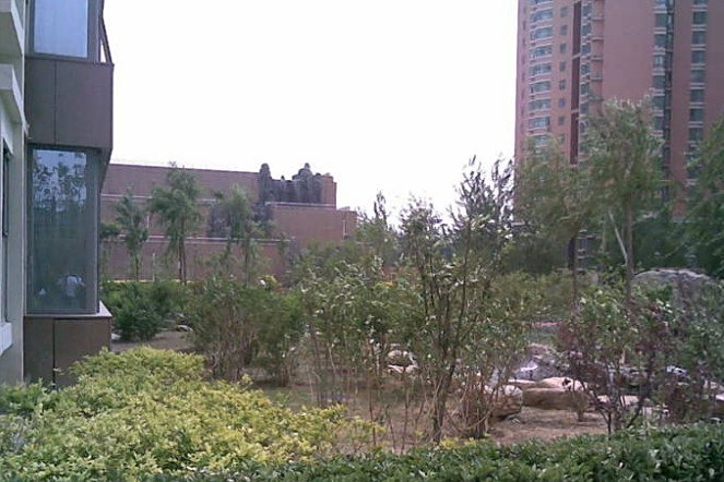 城市林曦 城市林曦