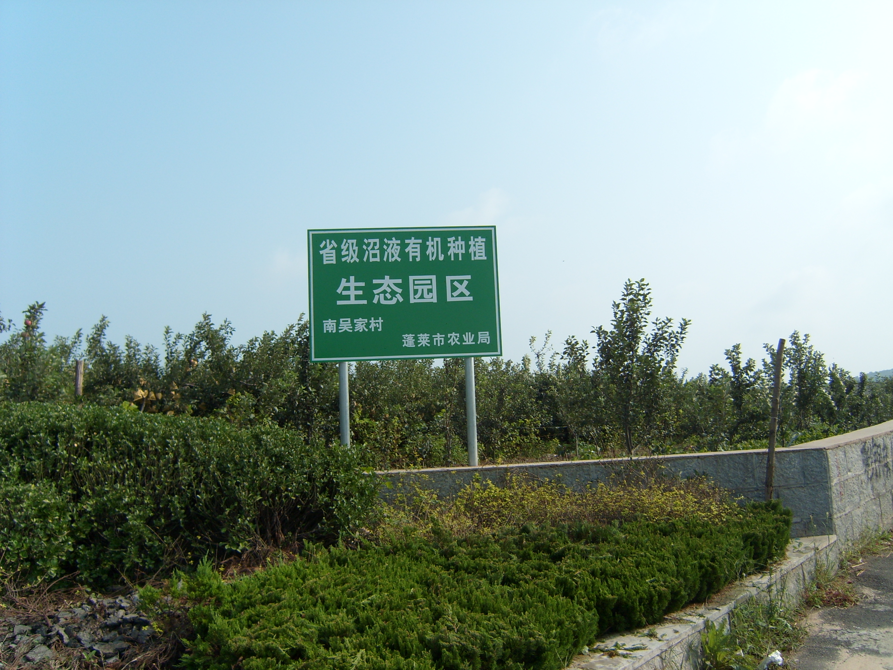 中國沼液有機種植生態基地
