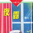 夜露(嚴沁所著的長篇小說) 夜露(嚴沁所著的長篇小說)