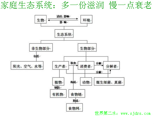 家庭生態系統