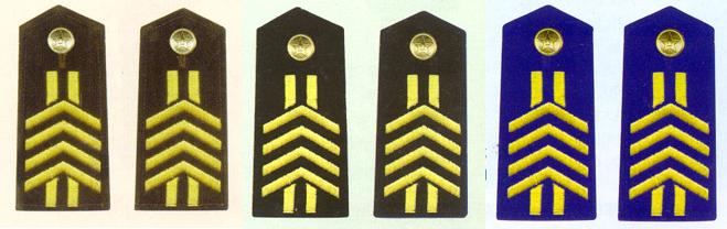 陸海空軍四級軍士長肩章(1993—1999)