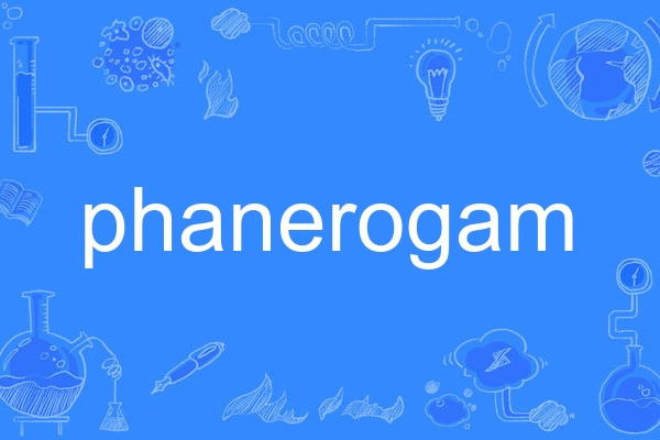 phanerogam phanerogam