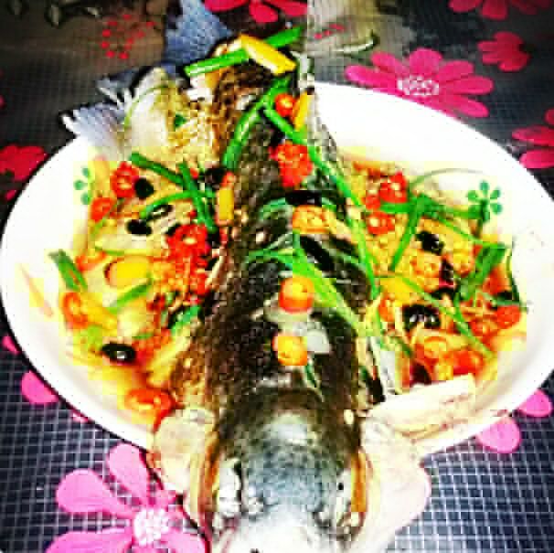 清蒸虹鱒魚 清蒸虹鱒魚