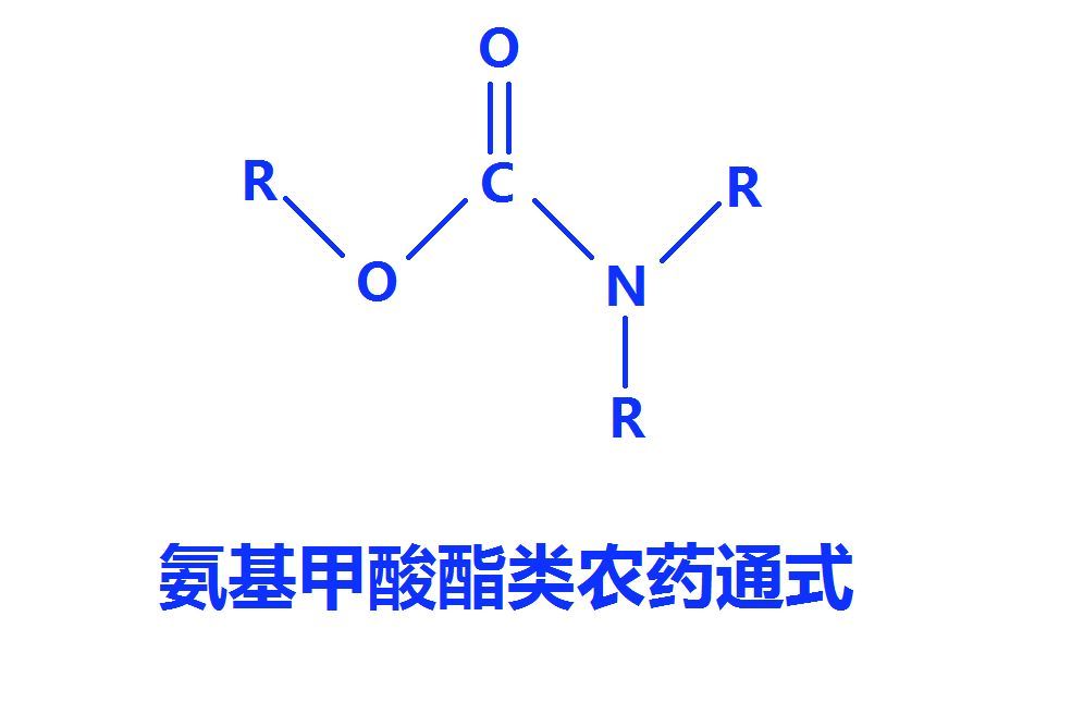 氨基甲酸酯類化合物