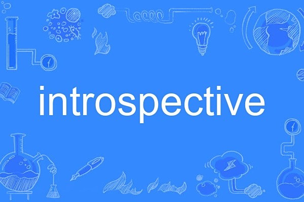 introspective introspective