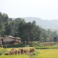 姚家坳村 姚家坳村