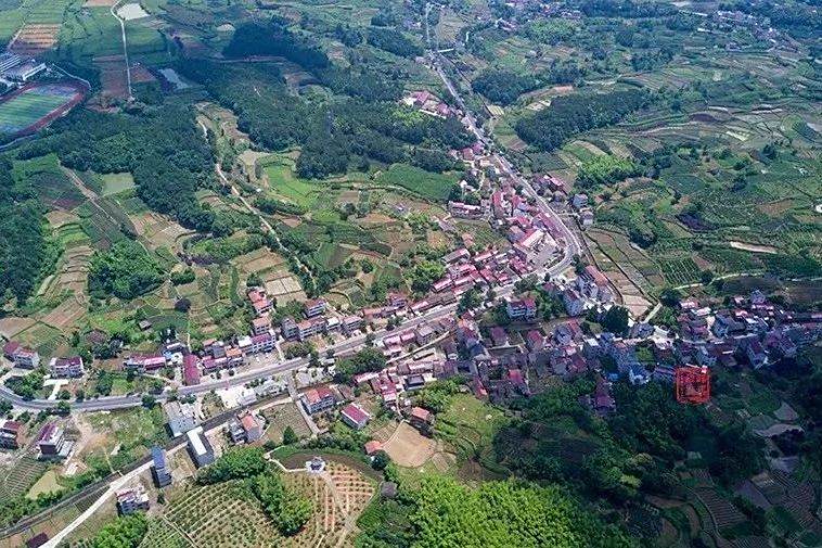 新昌村(海南省屯昌縣屯城鎮下轄村) 新昌村(海南省屯昌縣屯城鎮下轄村)