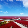 紅海景區 紅海景區