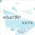 what?狗! what?狗!