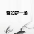 皆如夢一場 皆如夢一場