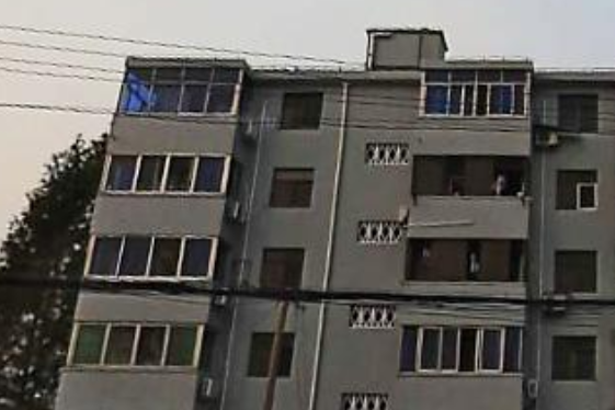 百龍新村 百龍新村