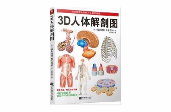 3D人體解剖圖大膽形象的簡明圖解