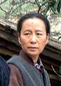 春草(2008年鄭曉龍執導現實題材電視劇)