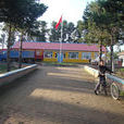 上新房村 上新房村
