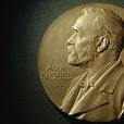 2013年諾貝爾和平獎