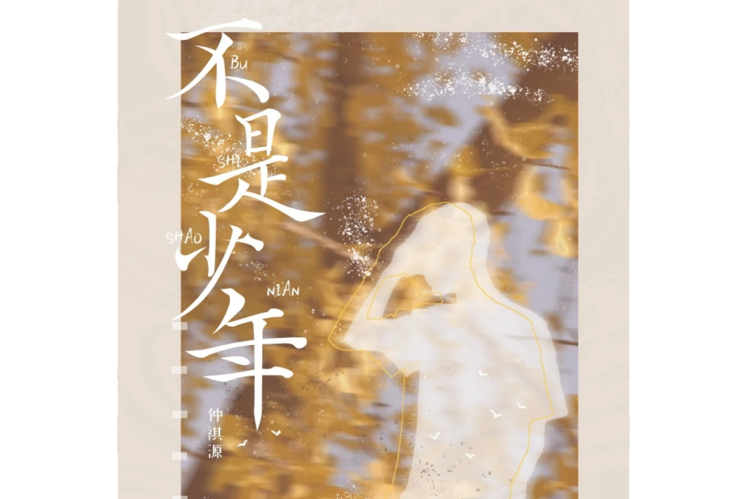 不是少年 不是少年
