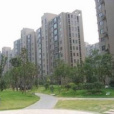 信義新村