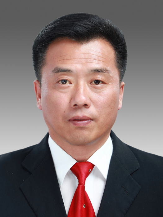 蘇強(遼寧省鞍山市台安縣桓洞鎮黨委書記) 蘇強(遼寧省鞍山市台安縣桓洞鎮黨委書記)
