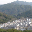 張沖鎮 張沖鎮