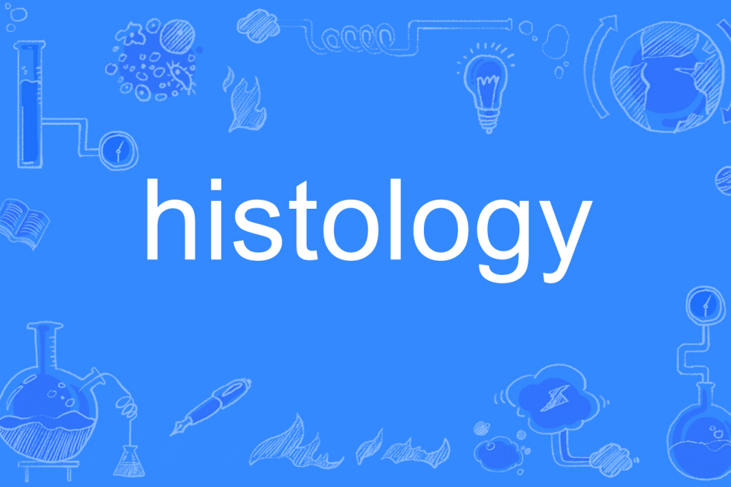 histology histology