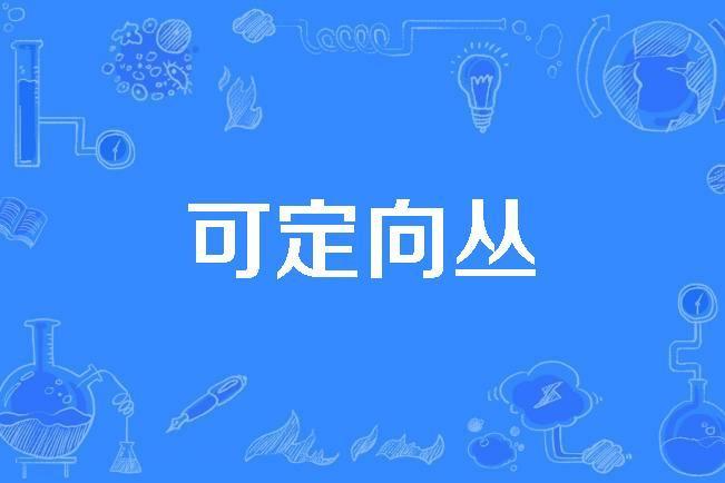 可定向叢 可定向叢