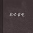 軍婚霸愛 軍婚霸愛