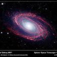 M81星系團