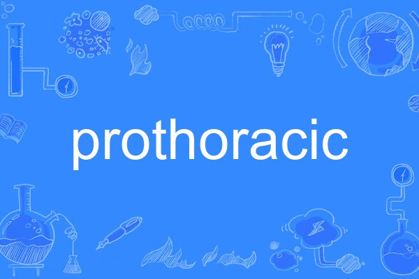 prothoracic prothoracic