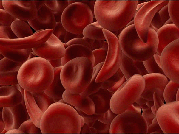 血栓細胞