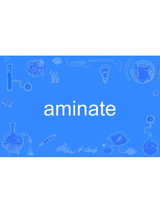 aminate aminate