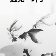 遇見一葉子 遇見一葉子