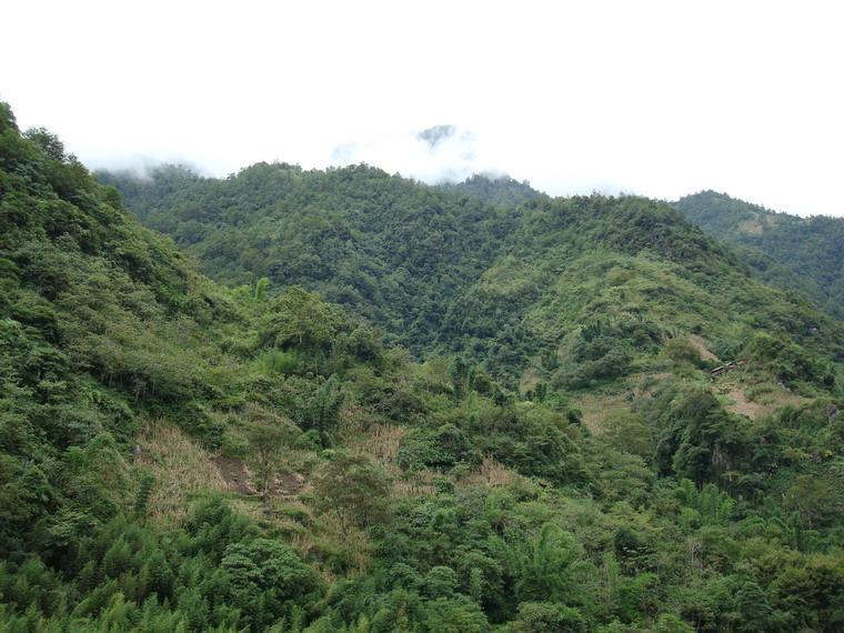 巴斯獨村 巴斯獨村