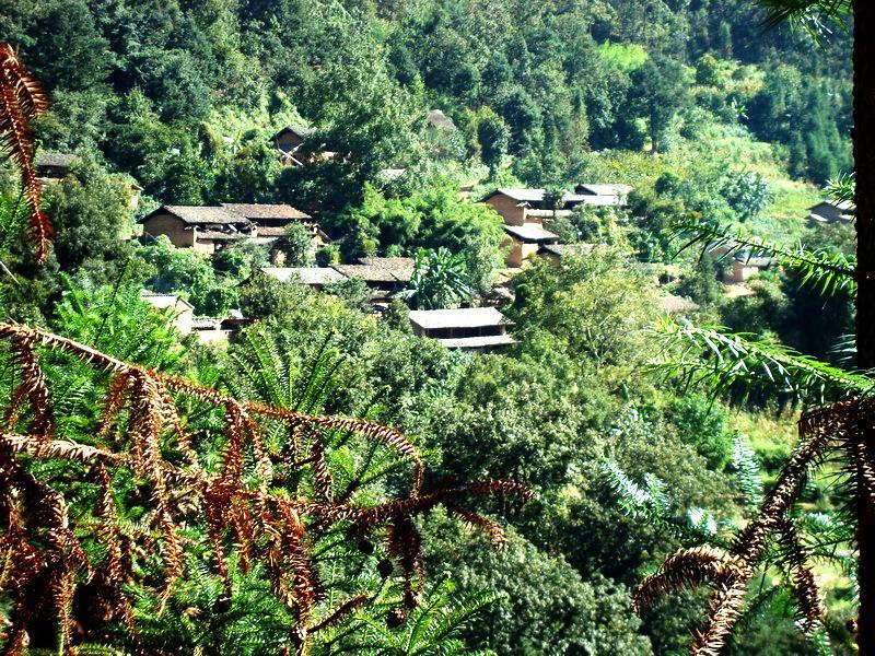 奎厚村 奎厚村