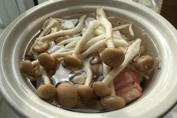 清燉草菇湯