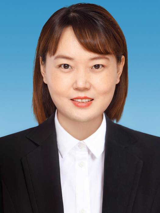 劉琦(河南省輝縣市人民政府副市長) 劉琦(河南省輝縣市人民政府副市長)