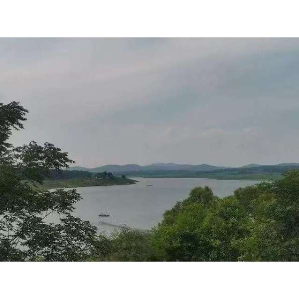 楊台水庫