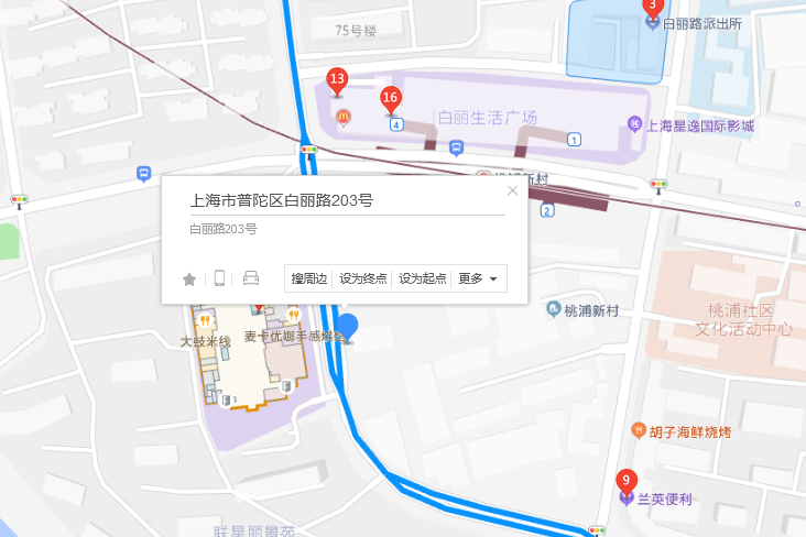 白麗路203號 白麗路203號