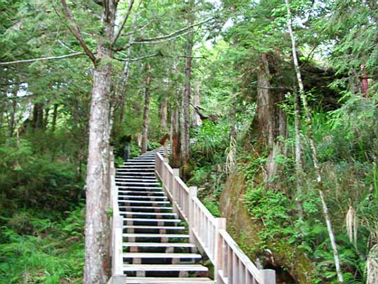 太平山國家森林公園