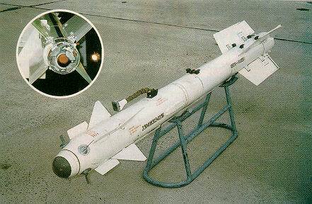 蘇聯AA-11空空飛彈