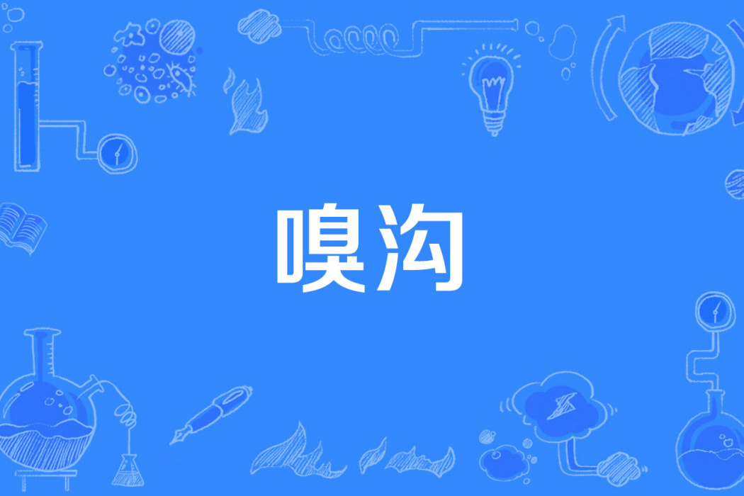 嗅溝 嗅溝