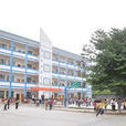 棉湖國小 棉湖國小