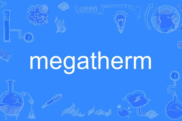 megatherm megatherm