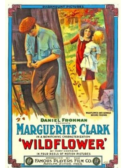 Wildflower(美國1914年Allan Dwan執導的電影) Wildflower(美國1914年Allan Dwan執導的電影)