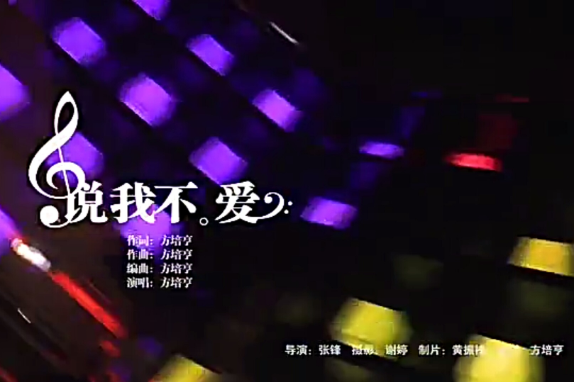 說我不愛 說我不愛